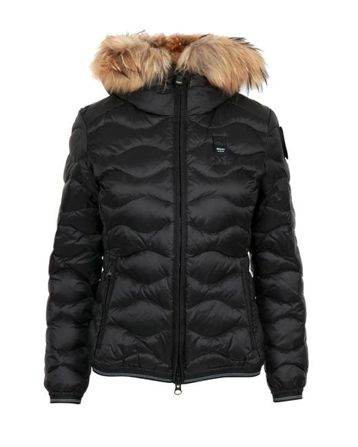 Blauer Black Coats