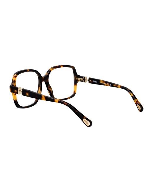 Chloé Black Havana-Havana-Transparent Recycled Acetate Glasses