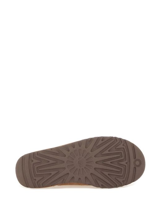 Ugg Brown Classic Micro Boot