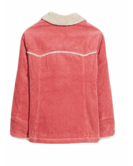 Bellerose Pink Short Coat