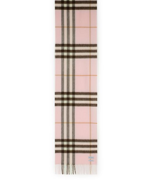 Burberry Multicolor Cashmere Scarf