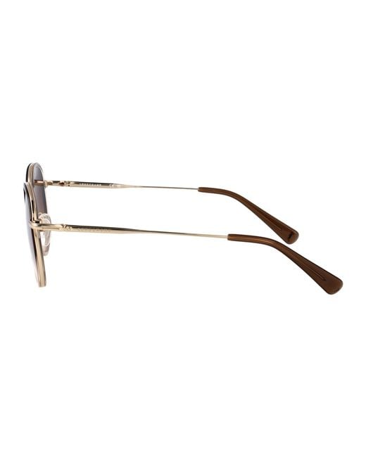 Longchamp Brown Sunglasses