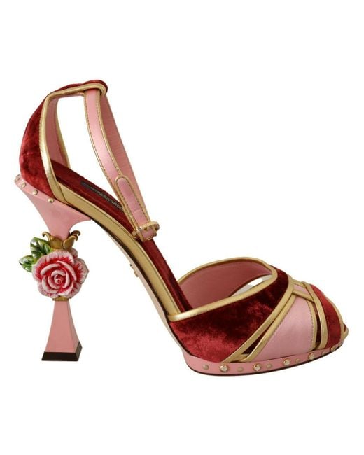 Scarpe sandali con cinturino in velluto rosso rosa fiore di Dolce & Gabbana in Brown