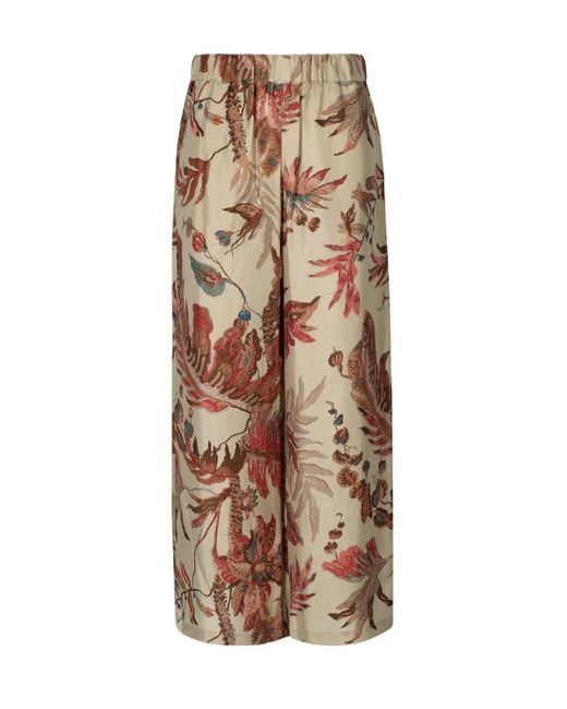 Weekend by Maxmara Brown Temide Pants
