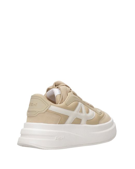 Ash Natural Asche -Turnschuhe