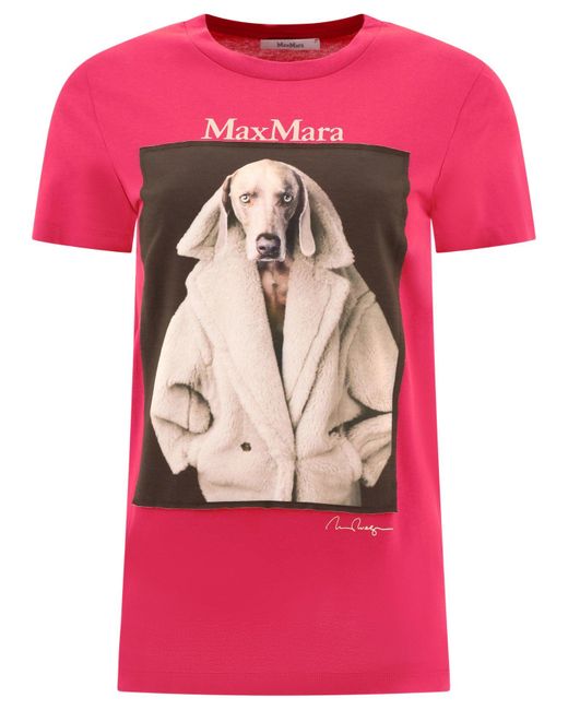 Max Mara Valido T -shirt Met Wegman Print in het Pink