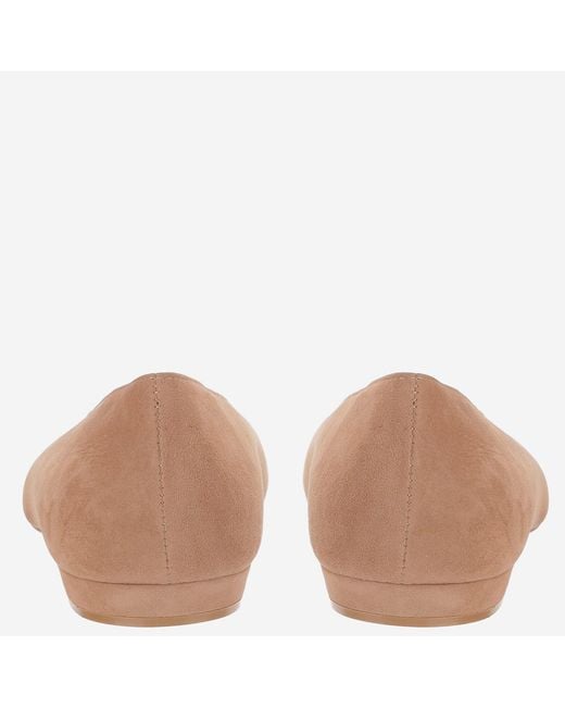 Gianvito Rossi Brown Ballerinas