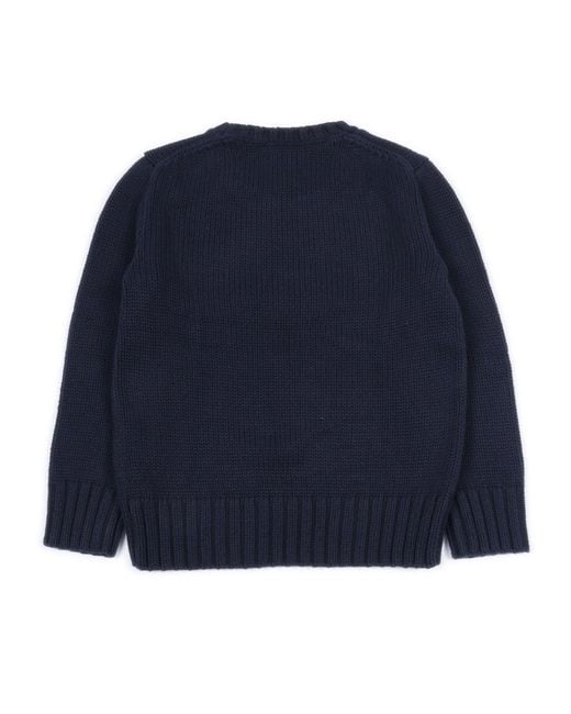 Polo Ralph Lauren Blue Flag Cn Swtr Tops Sweater