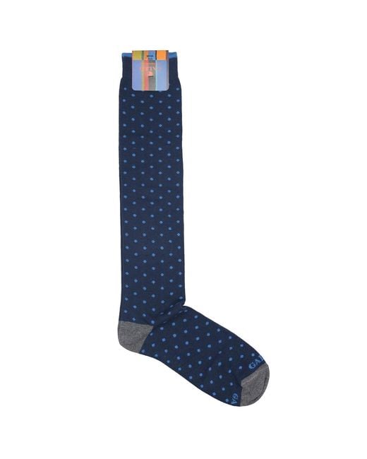 Gallo Blue Underwear