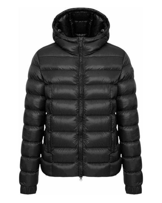 Colmar Black Polished