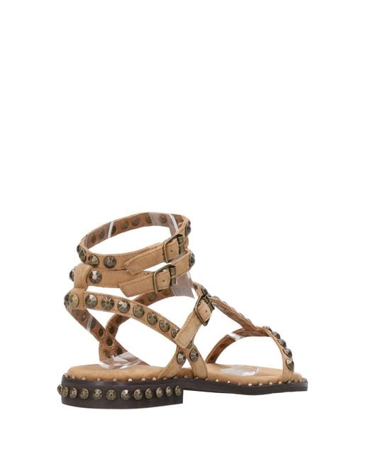 Ash Brown Sandals