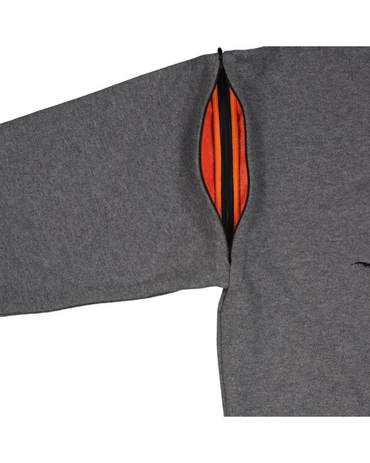 Dior Gray Logo Hooded Sweatshirt for men