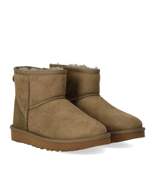 Ugg Brown Classic Mini Ii Antilope Boot