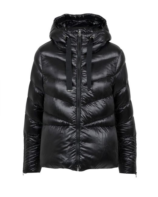 Herno Black Coats