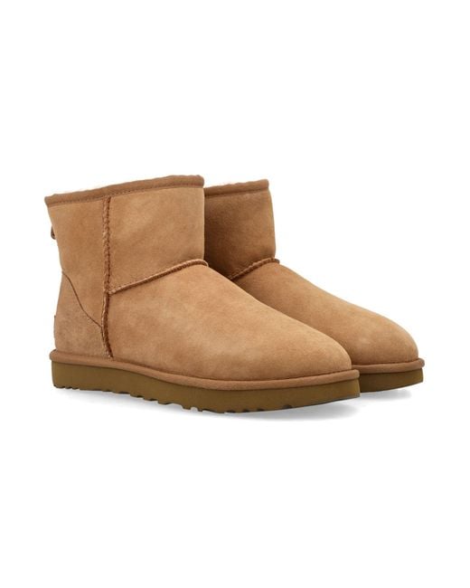 Ugg Brown Classic Mini Ii Suede Boots With Shearling Lining