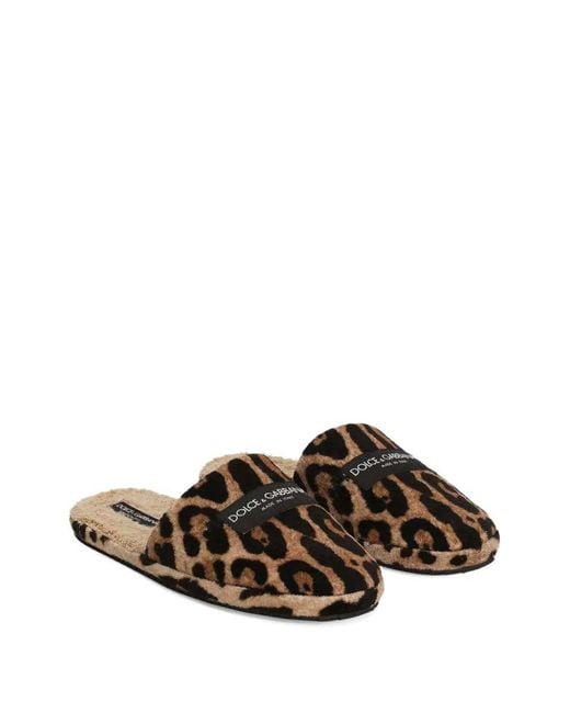 Dolce & Gabbana Brown Printed Slippers