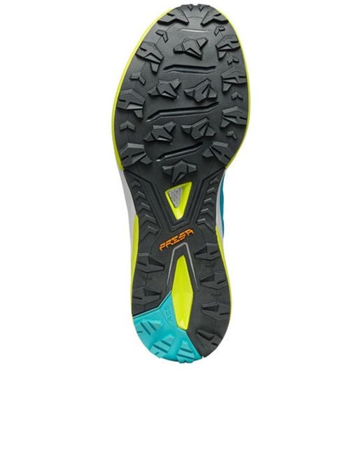 SCARPA Blue Scarpa