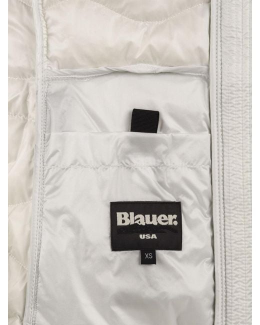 Blauer Blauwe Jassen in het Gray