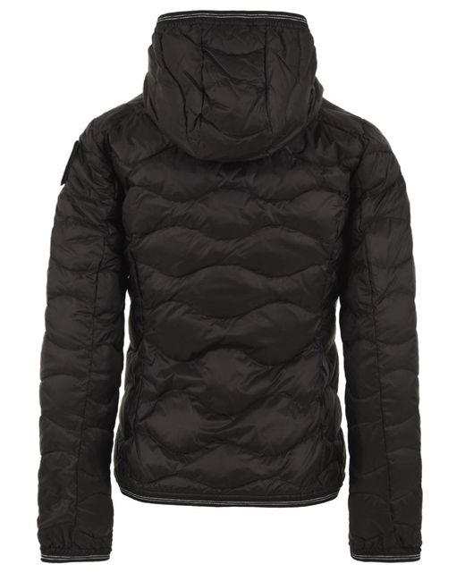 Blauer Black Coats