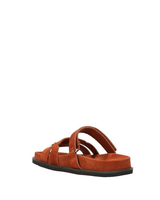 Tory Burch Brown Sandals