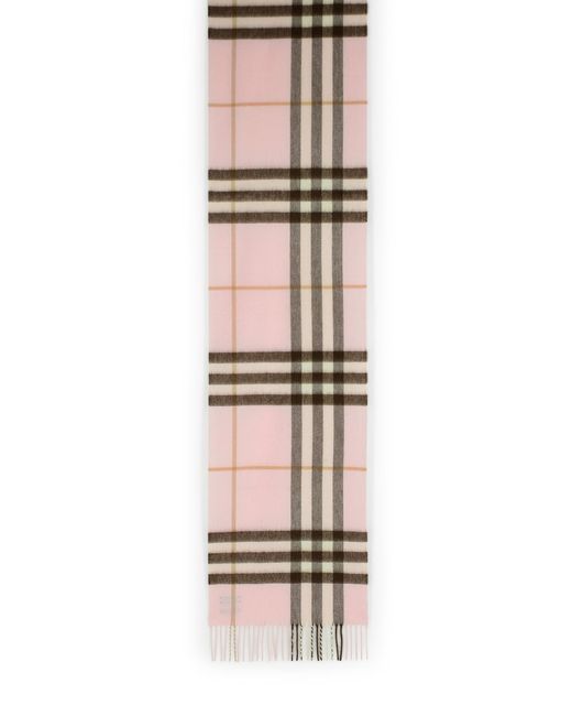 Burberry Multicolor Cashmere Scarf