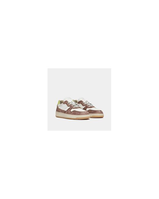 FECHA. Zapatillas Multicolor Date