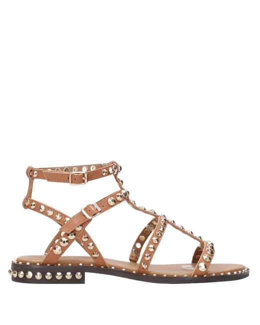 Sandales en frêne cannelle Ash en coloris Brown