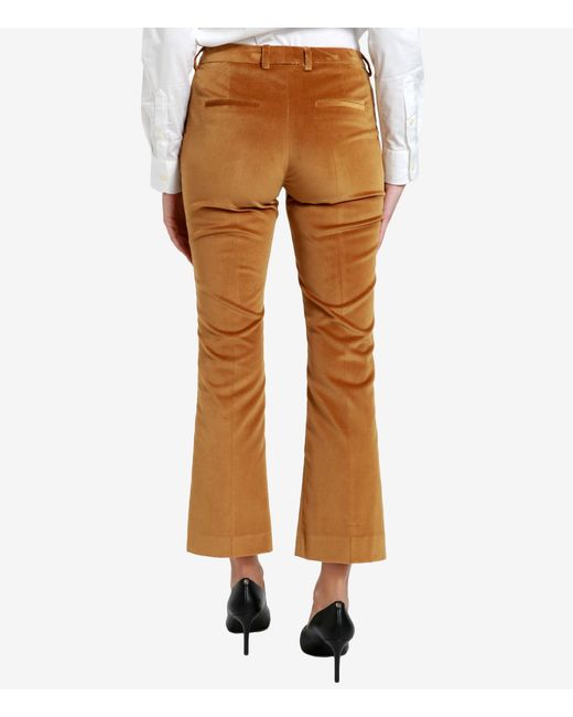 PT Torino Broek in het Brown