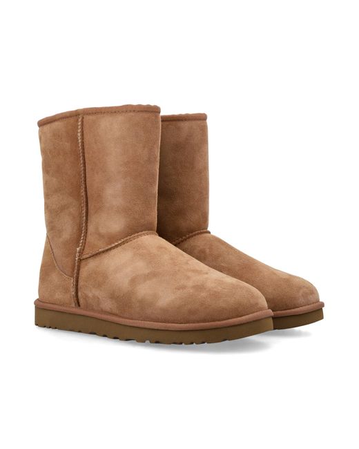 Ugg Brown Classic Short Boots Upper for men