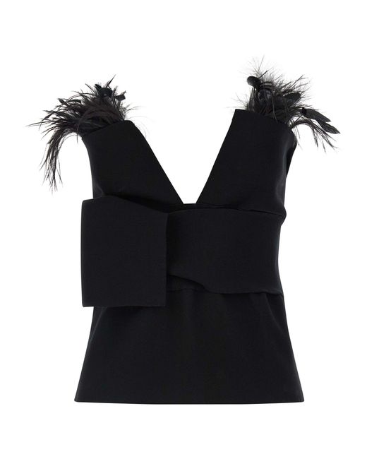 Top con piume di Alberta Ferretti in Black