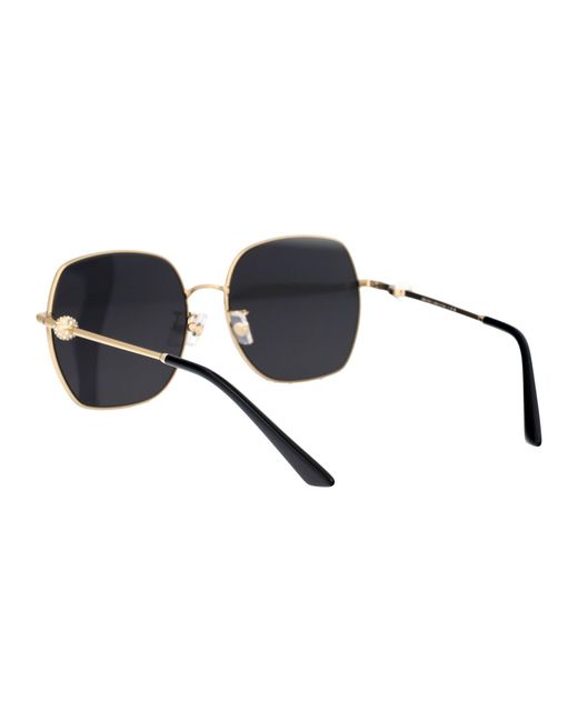 Jimmy Choo Multicolor Sunglasses