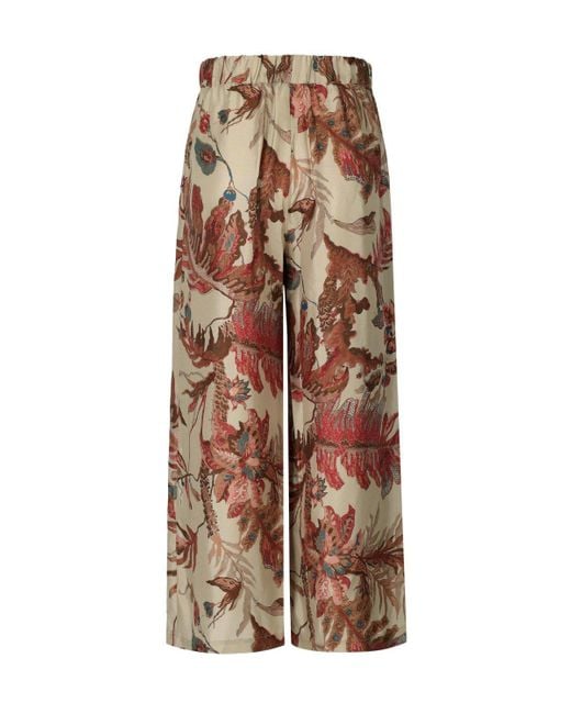 Weekend by Maxmara Brown Temide Pants