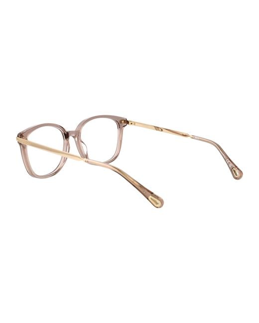 Chloé Multicolor Acetate Glasses