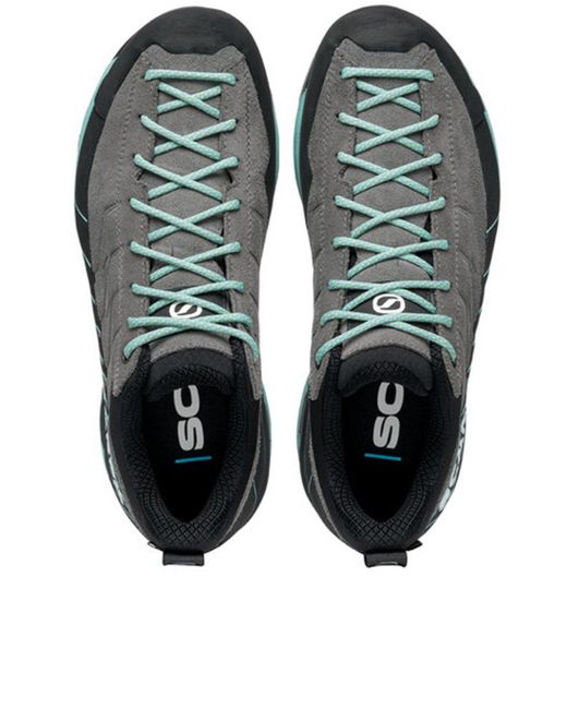 SCARPA Blue Scarpa
