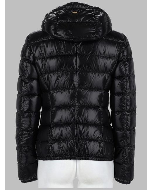 Herno Black Hooded Puffer Jacket