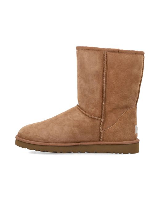 Ugg Brown Classic Short Boots Upper for men