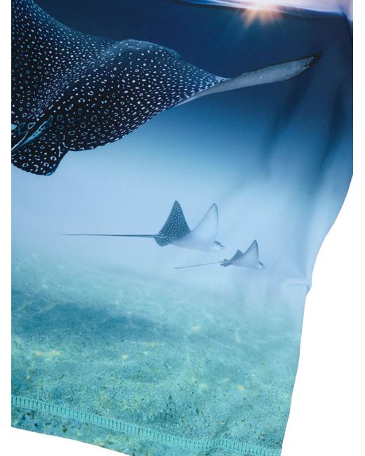 Molo Blue Neptune T Shirts & Tops