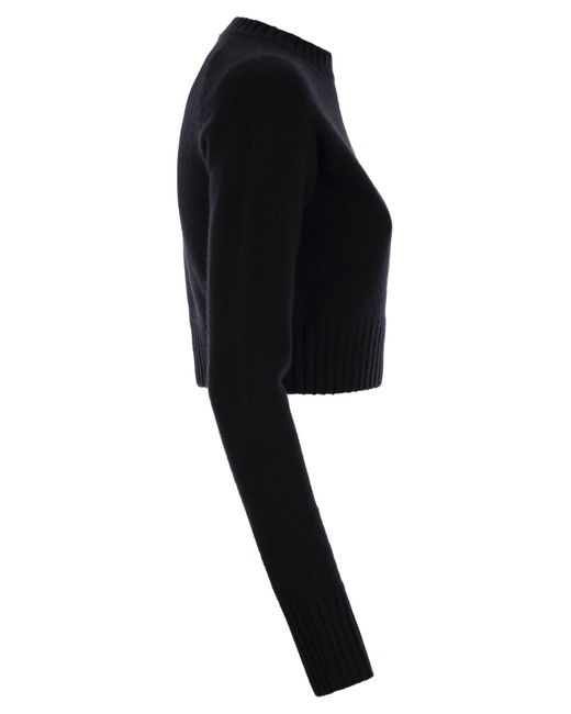 Sportmax Fragola Cashmere En Wool Sweater in het Black