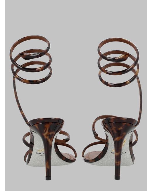 Rene Caovilla Brown Elegant Heels For