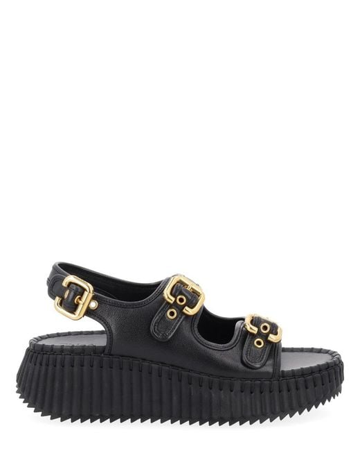 Chloé Black Solid Nama Sandals