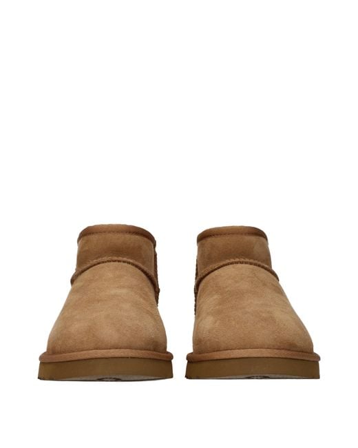 Ugg Brown Classic Boots Suede/Chestnut