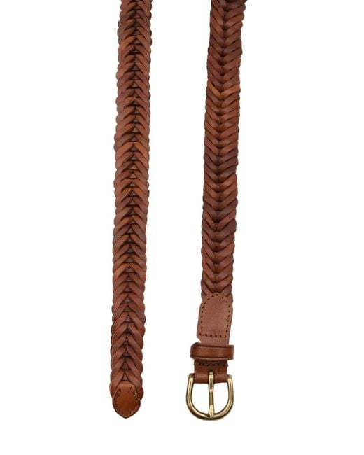 Dragon Diffusion Brown Belts