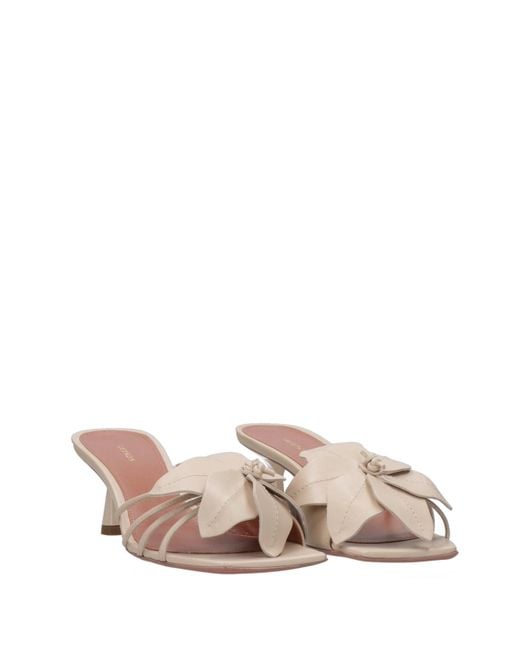 Castagna Brown Sandals