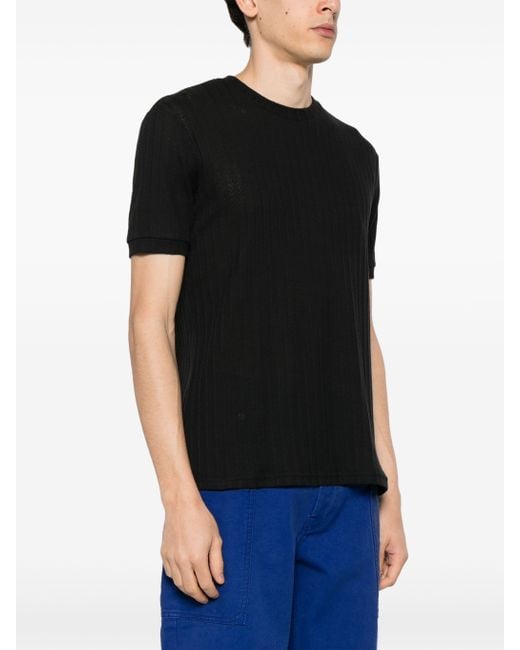 Winnie NY Black Dolly Logo Wiss24To04688372 for men