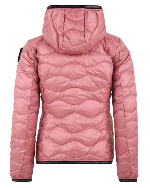 Blauer Jassen Roze in het Pink