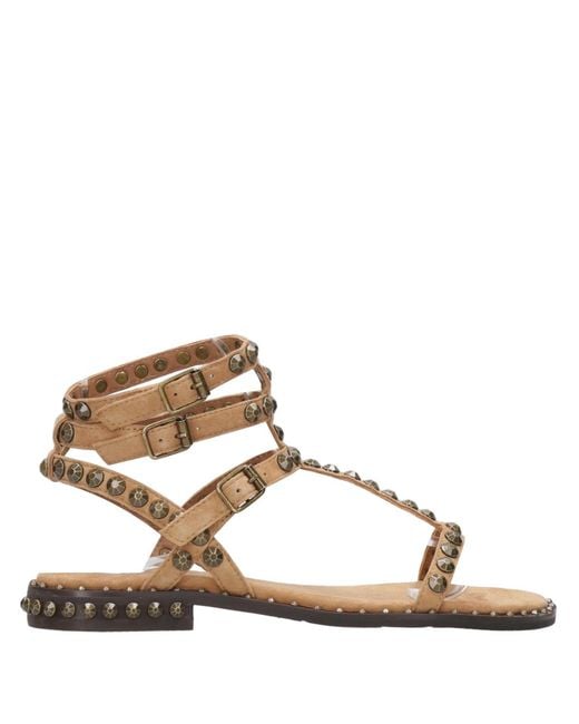 Ash Brown Sandals