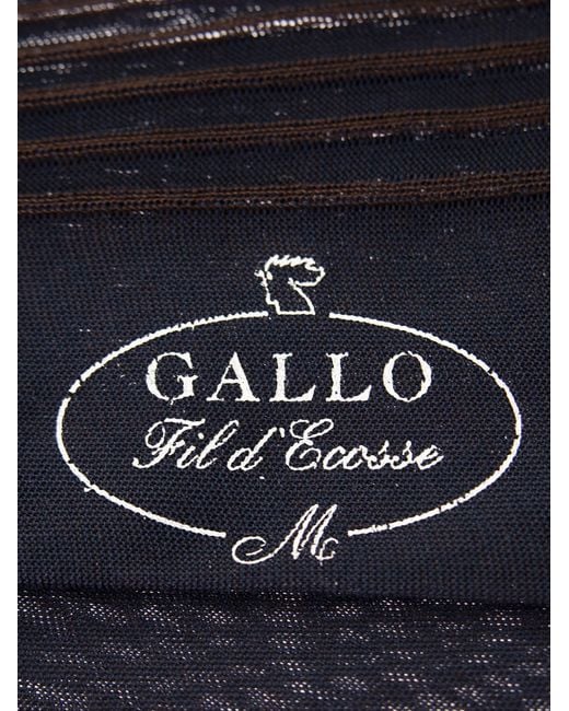 Gallo Blue Cotton Long Socks