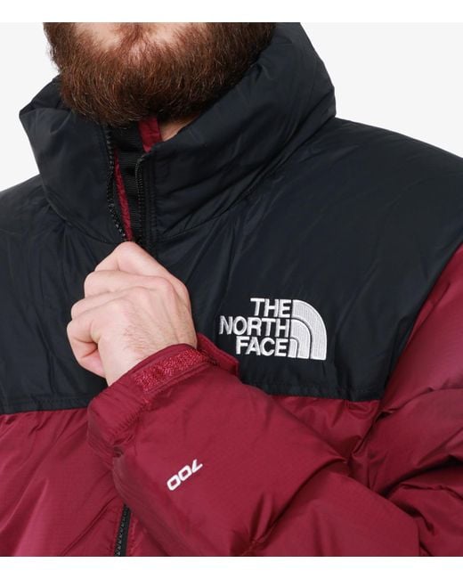 The North Face Red Die Nordflächenmäntel