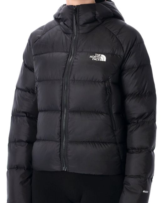 The North Face De Noordwand Bedekt Zwart in het Blue