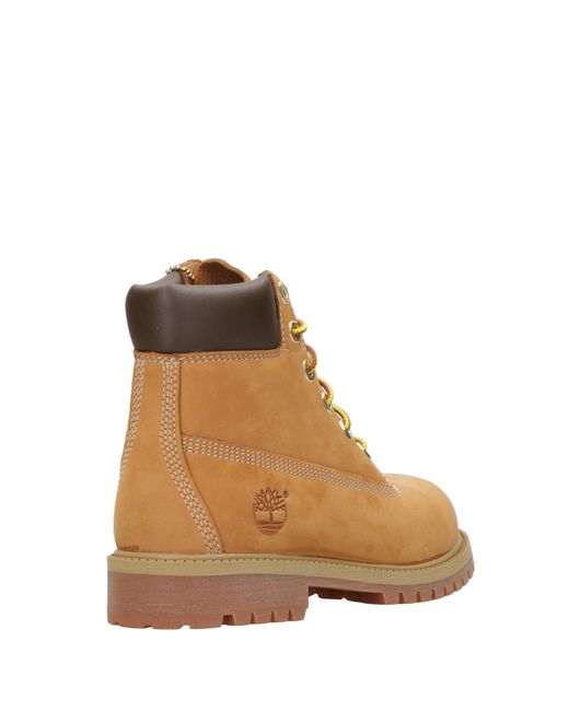 Timberland Brown Boots